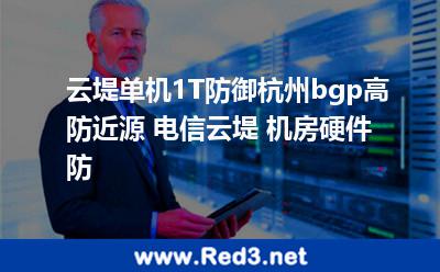 云堤单机1T防御,杭州bgp高防近源+电信云堤+机房硬件防 机房杭州市