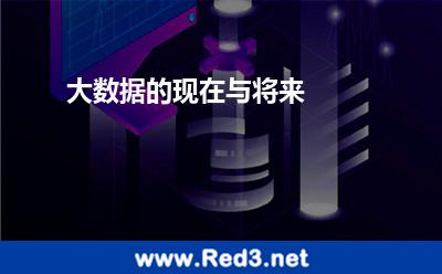 大数据(大数据的现在与将来)