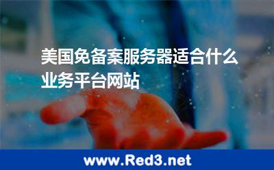 美国免备案服务器适合什么业务平台网站