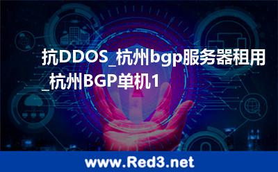 抗DDOS_杭州bgp服务器租用_杭州BGP单机