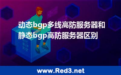 动态bgp多线高防服务器和静态bgp高防服务器区别 网络路由
