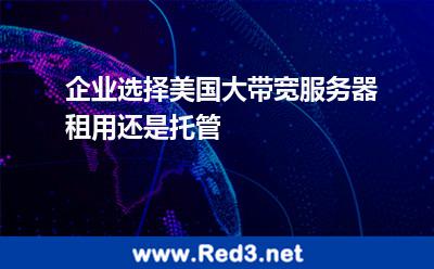 企业选择美国大带宽服务器租用还是托管