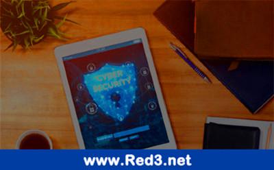 香港高防服务器租用适不适合做seo优化