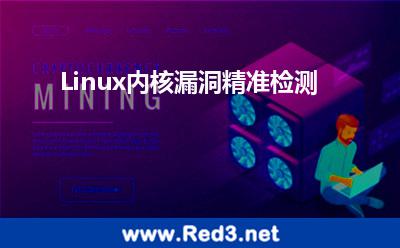 Linux内核漏洞精准检测 漏洞检测