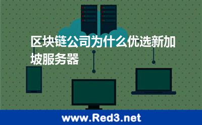 区块链公司为什么优选新加坡服务器