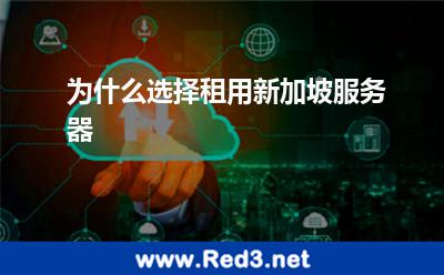 为什么选择租用新加坡服务器
