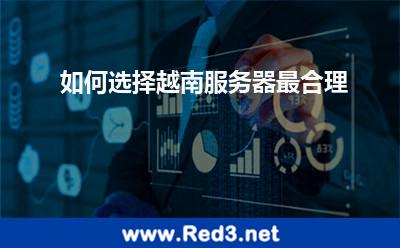 如何选择越南服务器最合理
