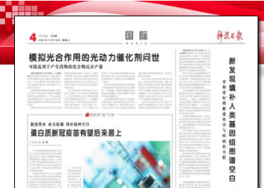 新发现填补人类基因组图谱空白 堪称“生命之书”