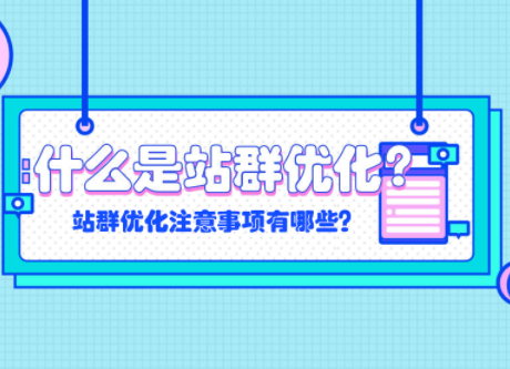 站群是什么意思(站群模式是什么意思)