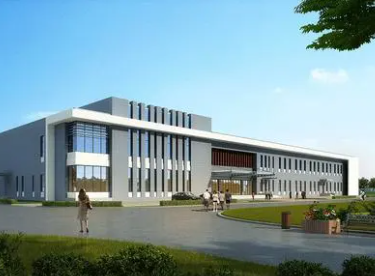 国内站群服务器(站群服务器哪个平台好)