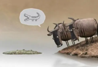 水坑攻击(水坑攻击指的是什么?) 水坑攻击,网络攻击