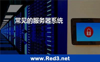 常见的服务器系统