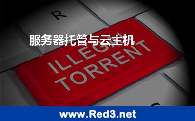 服务器托管与云主机