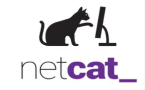 netcat命令(Linux netcat命令详解)