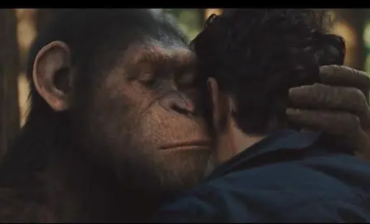 马斯克称脑机接口已有新进展:猴子能用大脑操控游戏