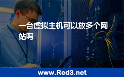 一台虚拟主机,可以放多个网站吗