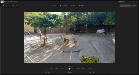 功能更强大!Win11照片应用迎来更新:图片编辑获得重新设计 Win11