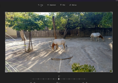 功能更强大!Win11照片应用迎来更新:图片编辑获得重新设计