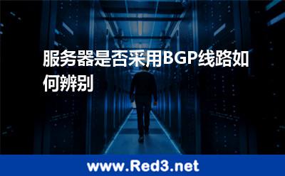 服务器是否采用BGP线路如何辨别