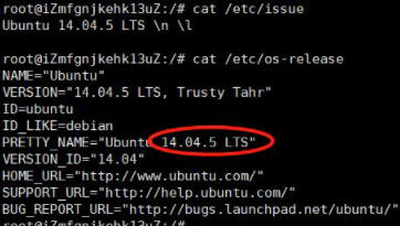 ubuntu查看系统版本命令