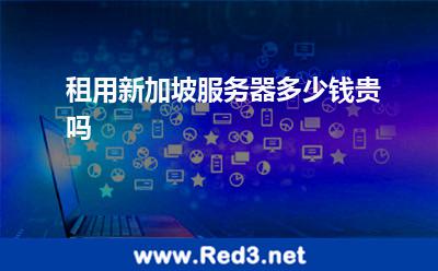租用新加坡服务器多少钱,贵吗