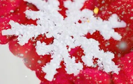 放假通知 - Red3 2022年元旦放假通知