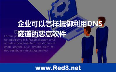 企业可以怎样抵御利用DNS隧道的恶意软件