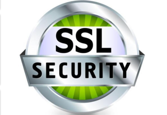 ssl是什么(ssl是什么意思啊)