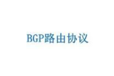 bgp线路是什么意思(什么是BGP线路)