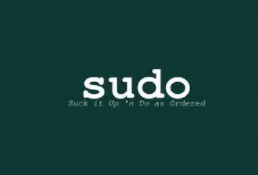 安装sudo(linux 安装 sudo的操作代码)