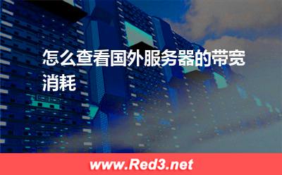 怎么查看国外服务器的带宽消耗