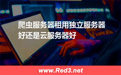 爬虫服务器租用独立服务器好还是云服务器好