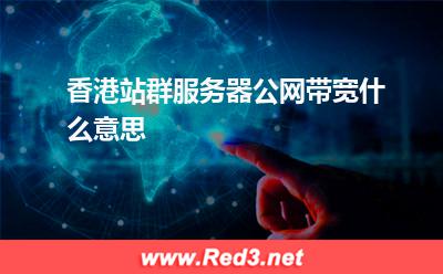 香港站群服务器公网带宽什么意思