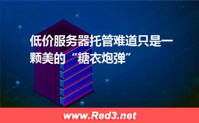 低价服务器托管价格并不低
