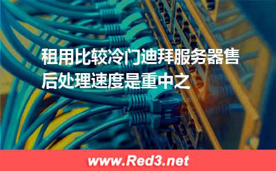 租用迪拜服务器,售后处理速度是关键