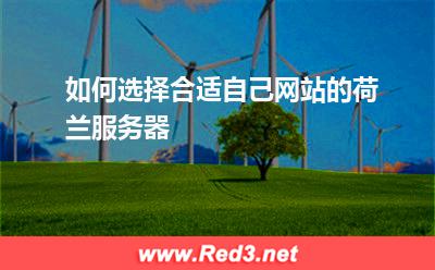 如何选择合适自己网站的荷兰服务器