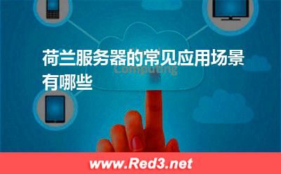 荷兰服务器的常见应用场景有哪些