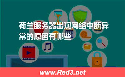 荷兰服务器出现网络中断异常的原因有哪些