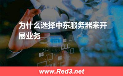 为什么选择中东服务器来开展业务