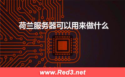 荷兰服务器可以用来做什么