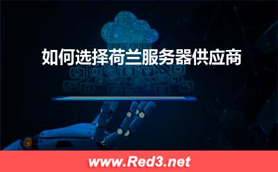 如何选择荷兰服务器供应商