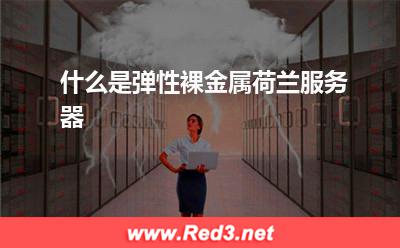 什么是弹性裸金属荷兰服务器 荷兰服务器