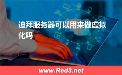 迪拜服务器可以用来做虚拟化吗 迪拜服务器