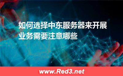 如何选择中东服务器来开展业务,需要注意哪些