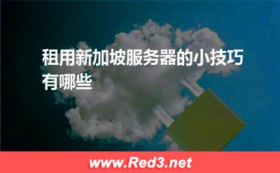 租用新加坡服务器的小技巧有哪些