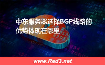 中东服务器选择BGP线路的优势体现在哪里