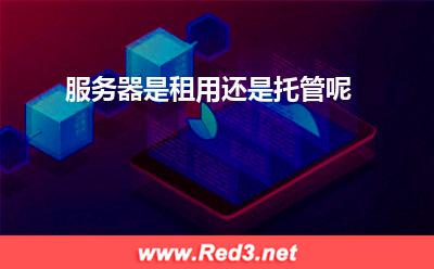 服务器是租用还是托管呢