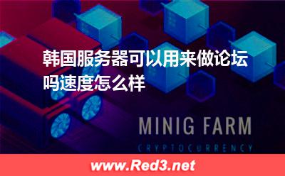 韩国服务器可以用来做论坛吗速度怎么样