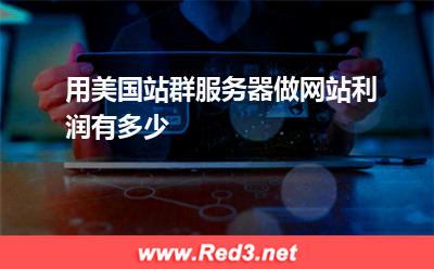 用美国站群服务器做网站利润有多少