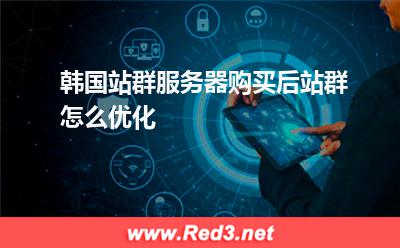 韩国站群服务器购买后,站群怎么优化 网站盈利